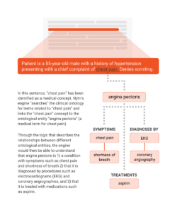 Diagram showing the Ontological Linking stage of Nym's CLU technology